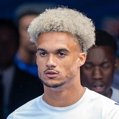 Antonee Robinson portrait