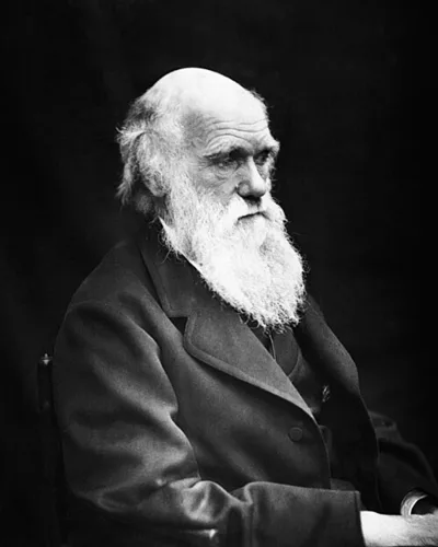 Darwin Núñez — Charles Darwin (1809–1882) in his later years. This image is the correct orientation. Darwin's mole was on the right side of his nose.