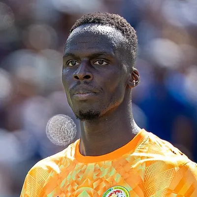 Édouard Mendy portrait