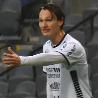 Hjalmar Ekdal portrait