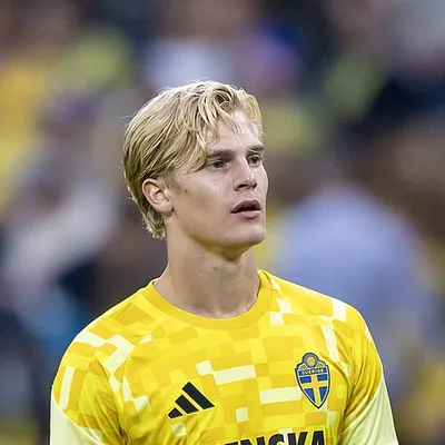 Lucas Bergvall portrait