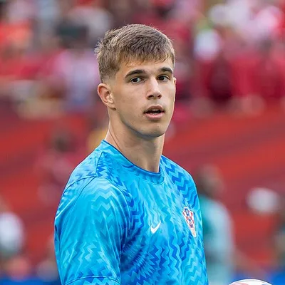 Luka Vuskovic portrait