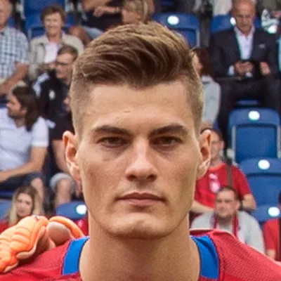 Patrik Schick portrait